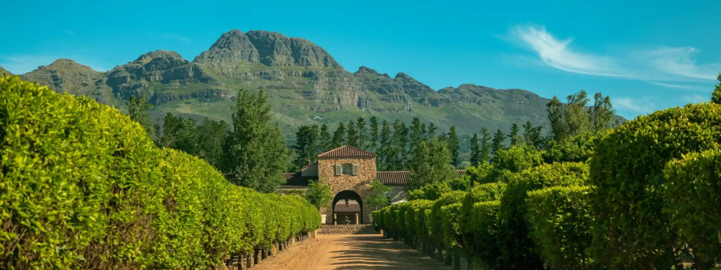 A tree-lined farm road leads to a farmstead below the mountains in the Western Cape.